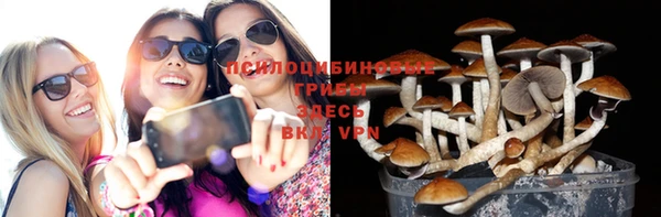 таблы Костерёво