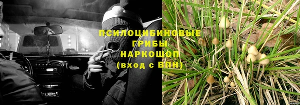 a pvp Корсаков