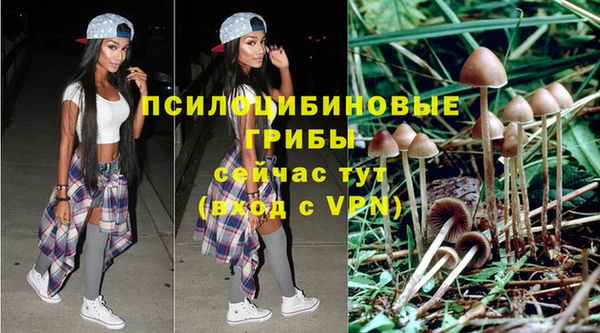 ГАЛЛЮЦИНОГЕННЫЕ ГРИБЫ Краснослободск