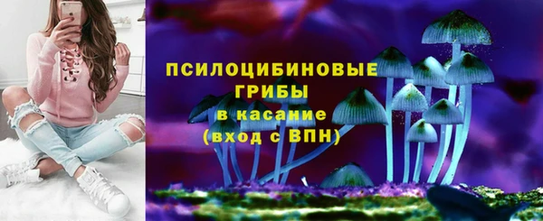 таблы Костерёво