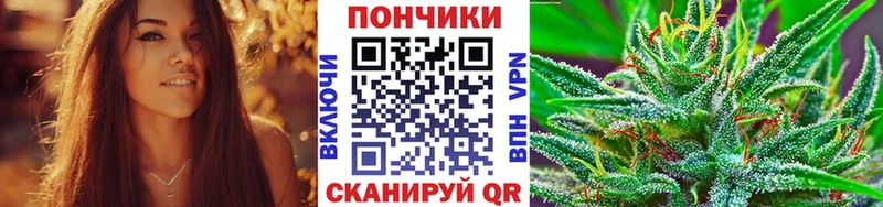 Шишки марихуана гибрид  Купить закладки  Красный Кут 